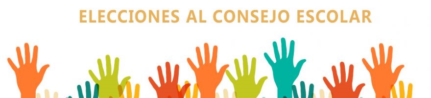 elecciones consejo 24-25